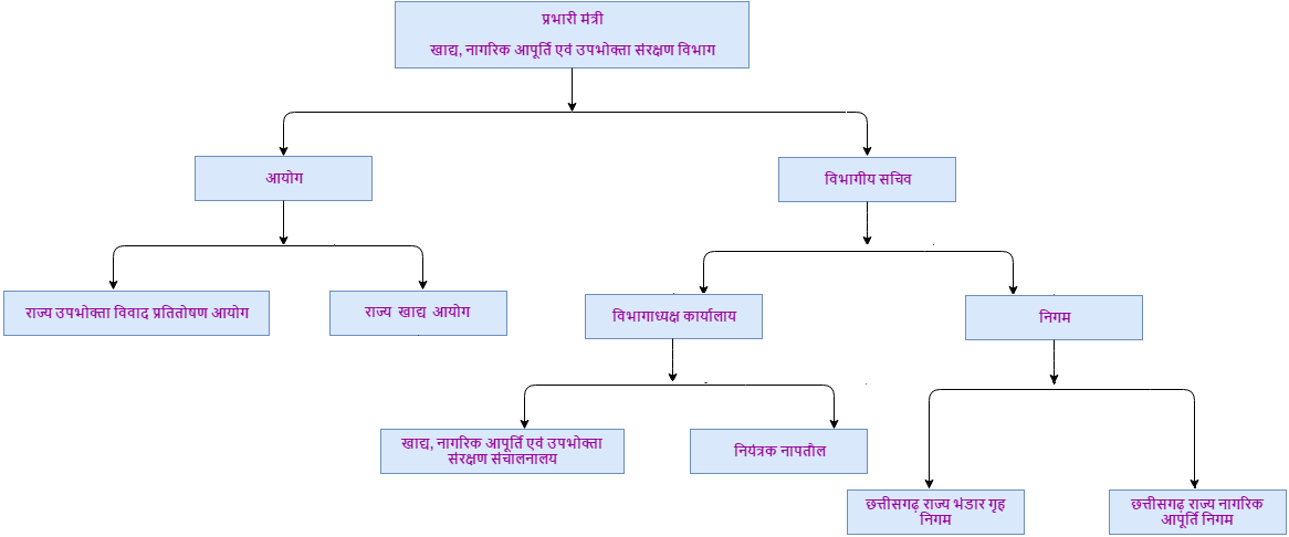 Organization Chart